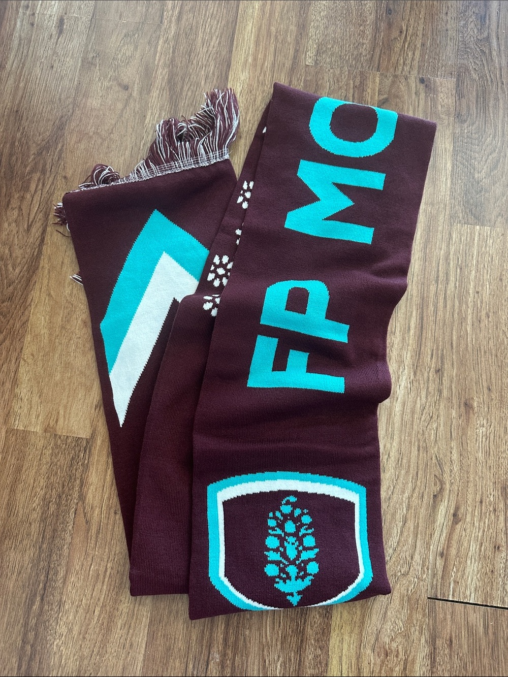 Free People Burgundy and Teal Graphic Knit Scarf